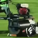 Andros Townsend Injured After Being Hit by Roller in Thailand