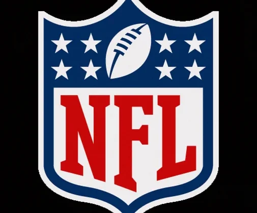 No NFL News Details Provided in Supplied Material