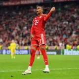 Bayern Munich Plan Michael Olise Extension Amid Real Madrid and Liverpool Interest