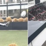 Brentford Report Rooftop Rugby Ball Incident During Liverpool Defeat