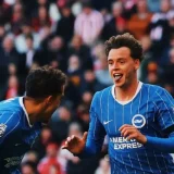 Brighton Beat Sunderland to Climb into Premier League Top Three