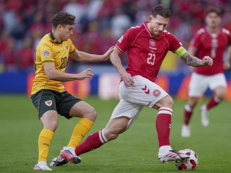 Pierre-Emile Højbjerg Suffers Injury Scare on Denmark Duty