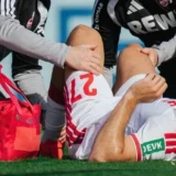 Bologna’s Dallinga Suffers Cruciate Ligament Injury on Cologne Loan