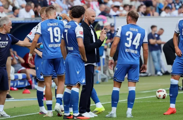 Hoffenheim Face Crucial 30-Day Test Under Christian Ilzer