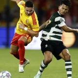 Sporting CP Beat Lens as Luis Suárez Strikes in Champions League Win