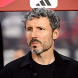 Van Bommel Forced to Reshuffle Belgium Midfield Against France