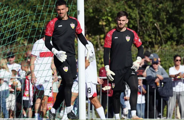 Stuttgart Face Seimen-Bredlow Goalkeeper Call for Paderborn Trip