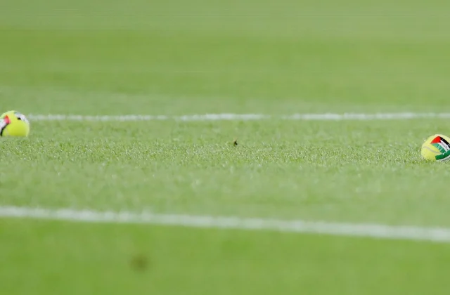 Ireland vs Austria Halted as Fans Throw Tennis Balls in Palestine Protest