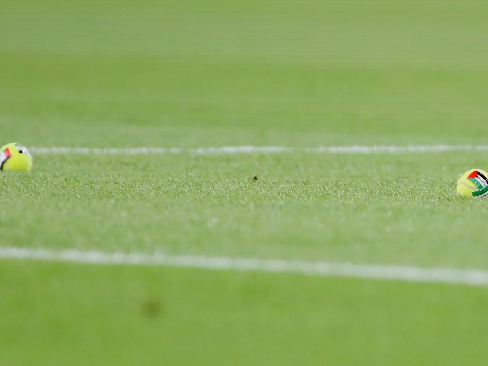 Ireland vs Austria Halted as Fans Throw Tennis Balls in Palestine Protest