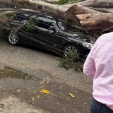 América’s Nicolás Hernández Seriously Injured After Tree Falls on Car