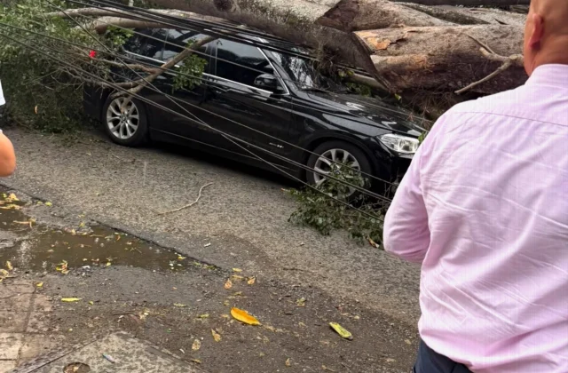 América’s Nicolás Hernández Seriously Injured After Tree Falls on Car