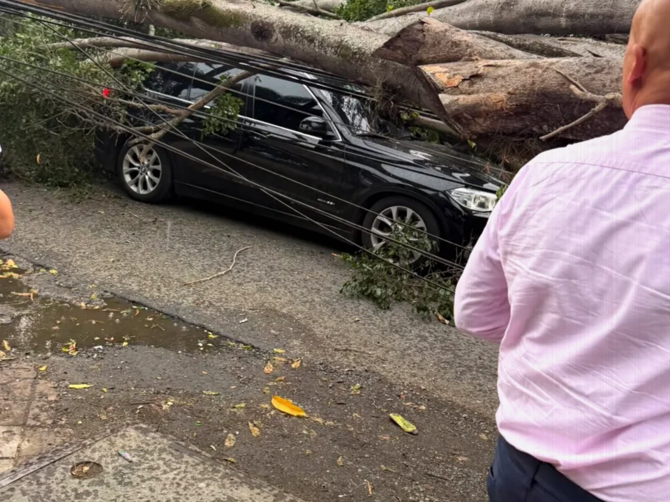 América’s Nicolás Hernández Seriously Injured After Tree Falls on Car