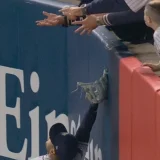 Replay Overturns Anthony Volpe’s Apparent Game-Tying Homer