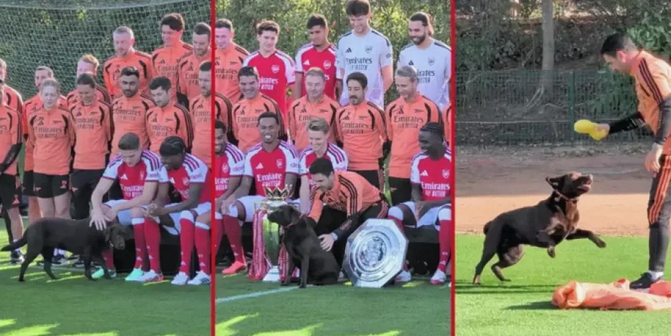 Win the Labrador Joins Arsenal’s Official Team Photo